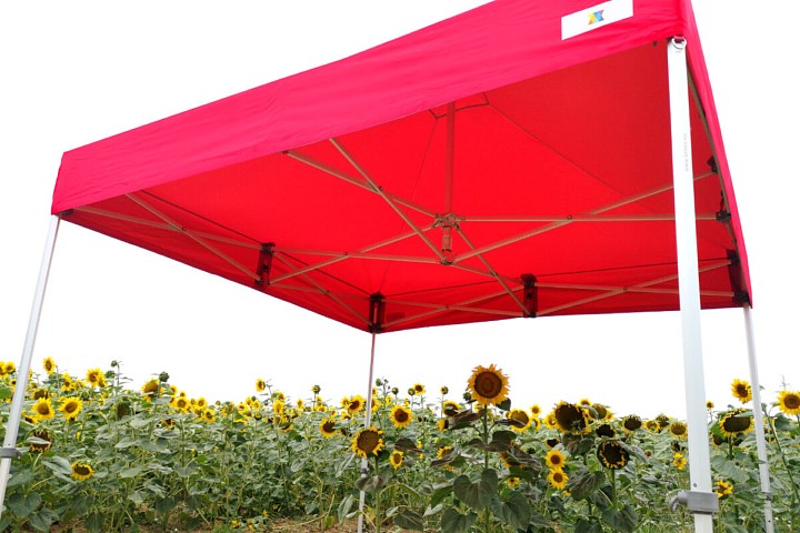 Pārdodu 3x6m saliekamo lapeni