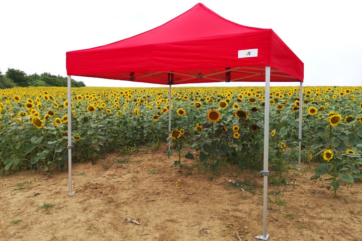 3x6m ballīšu teltis bazos